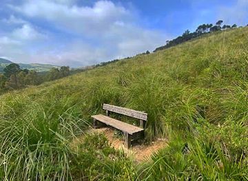 morocco/tetouan/landmark/nakkata-forest