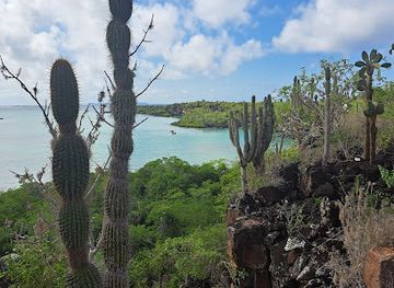 ecuador/puerto-ayora/landmark/galapagos-up-las-grietas
