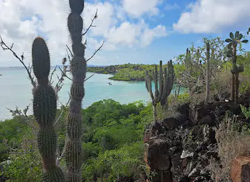 Galapagos Up las Grietas