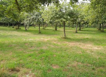 jersey/les-minquiers/landmark/the-elms-ntj