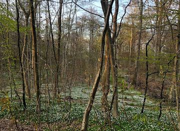 denmark/north-zealand/landmark/fiskebak-naturskole