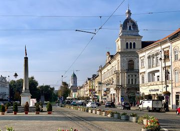 romania/arad/landmark/arad-city-hall-square