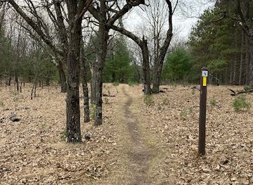 wisconsin/ice-age-trail/landmark/ice-age-trail-wedde-creek-segment-south
