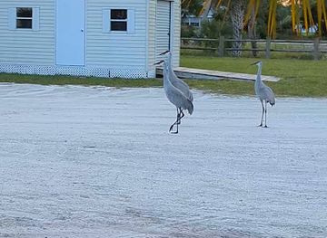 florida/ft-pierce/landmark/savannas-recreation-area