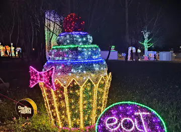 Garden of Lights