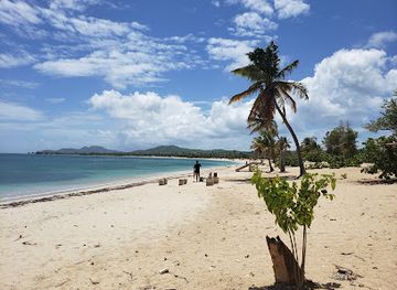 puerto-rico/vieques/landmark/sun-bay-beach