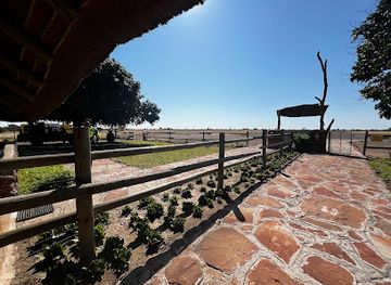 botswana/tuli-block/landmark/limpopo-valley-airport