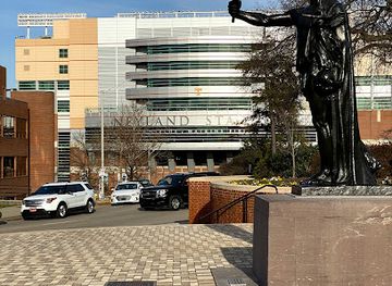 tennessee/knoxville/university-of-tennessee/landmark/torchbearer-statue-university-of-tennessee