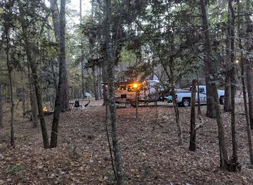 texas/piney-woods/landmark/mission-tejas-state-park