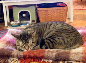 wisconsin/sheboygan/landmark/gibson-girls