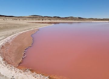oman/wadi-bani-khalid/landmark/pink-lake