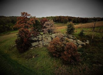 wisconsin/driftless-area/landmark/olson-oak-woods-state-natural-area