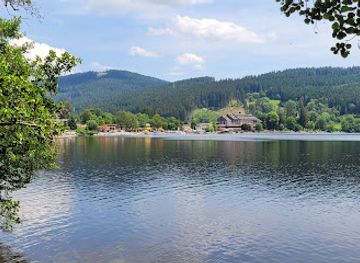 germany/black-forest/landmark/titisee-lake