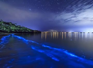 puerto-rico/vieques-island/landmark/bahia-bioluminiscente