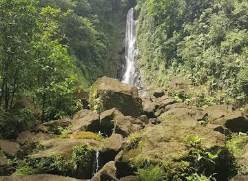 dominica/emerald-pool/landmark/papillote-tropical-gardens