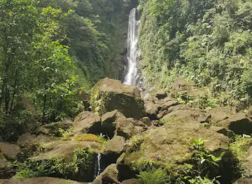 Papillote Tropical Gardens