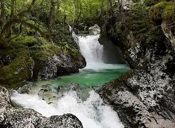 slovenia/triglav-national-park/landmark/sunikov-vodni-gaj