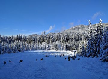 oregon/lane-county/landmark/salt-creek-summit-sno-park