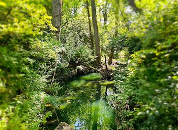 indiana/northeast-indiana/landmark/salomon-farm-park-covered-bridge