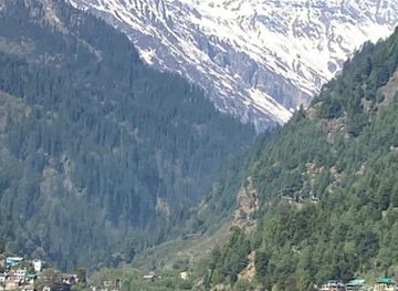 india/manali/landmark/dylan-s-toasted-roasted-coffee-house-best-coffee-house-pioneer-of-real-coffee-most-popular-cafe-for-world-famous