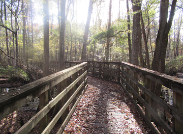 south-carolina/sandhills/landmark/palmetto-trail