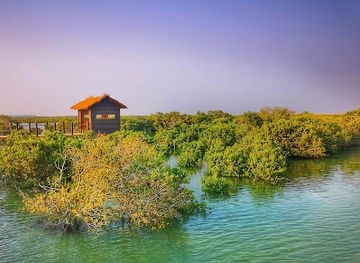 qatar/al-thakira-mangroves/landmark/purple-island
