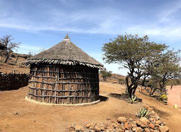 djibouti/obock/landmark/day-forest-national-park