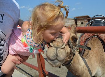 bulgaria/burgas-region/landmark/camel-park-sunny-beach