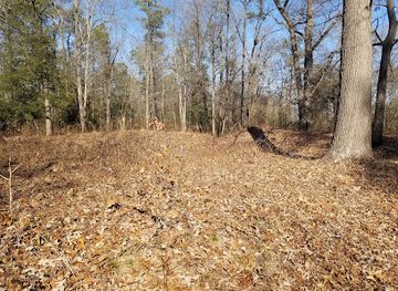 virginia/greater-richmond-region/landmark/parker-s-battery