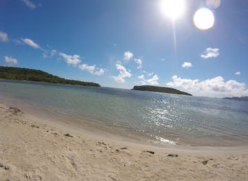 puerto-rico/vieques-island/landmark/el-quenepo-vieques