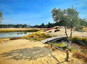netherlands/veluwe/landmark/bornia-utrechtslandschap