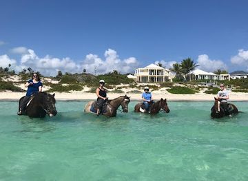 Provo Ponies