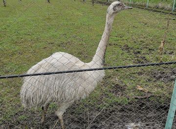 bulgaria/burgas-region/landmark/zoo-burgas