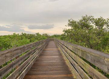 florida/big-bend/landmark/robert-k-rees-memorial-park