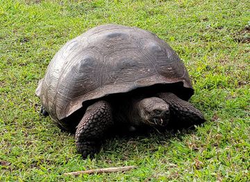 ecuador/southwest-coast/landmark/parque-nacional-galapagos
