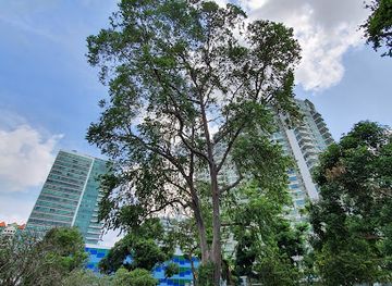 singapore/west-region/landmark/katong-park