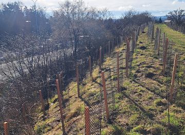 czechia/brno/brno-cernovice/landmark/pahrbek