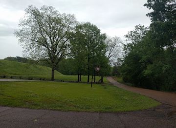 tennessee/mississippi-delta/landmark/emerald-mound