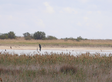 azerbaijan/greater-caucasus/landmark/absheron-national-park