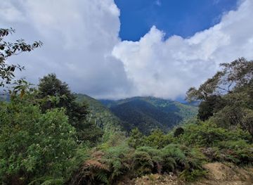 costa-rica/los-santos-region/landmark/parque-nacional-los-quetzales