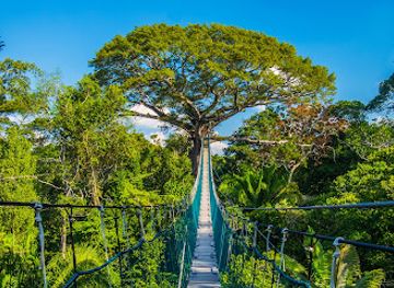 peru/tambopata-national-reserve/landmark/reserva-nacional-tambopata