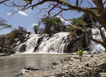 ethiopia/omo-valley/landmark/awash-national-park