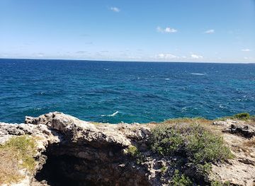 antigua-and-barbuda/st-john-s/landmark/wadadli-cats