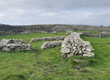 ireland/the-burren/landmark/caherconnell-stone-fort-sheepdog-demonstrations