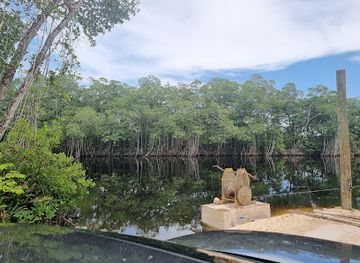 belize/central-belize/landmark/new-river