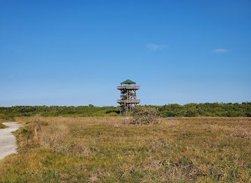 florida/sun-coast/landmark/robinson-preserve