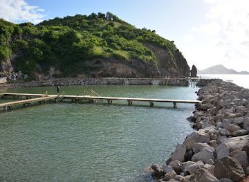 saint-kitts-and-nevis/sandy-point-town/landmark/dolphin-discovery-saint-kitts