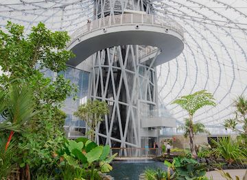 canada/winnipeg/landmark/the-leaf