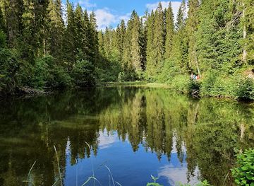 sweden/dalarna/landmark/styggforsen