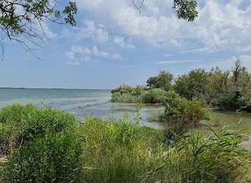 france/camargue/landmark/domaine-de-la-palissade